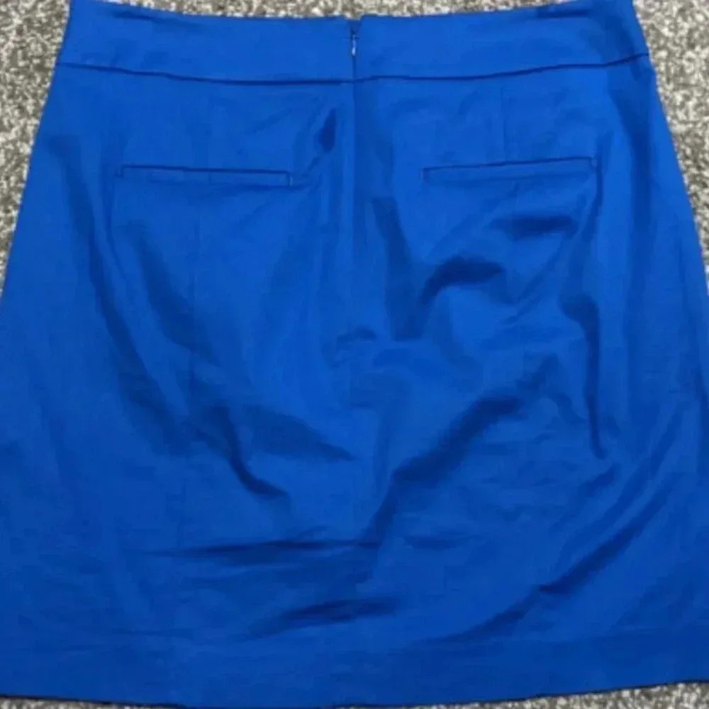 Ann Taylor Madison Skirt 6 - Picture 2 of 5